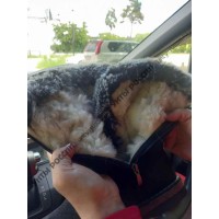 Сапоги зимние женские натуральные короткие черные с опушкой с замком, войлочная подошва Сапоги зимние женские натуральные короткие черные с опушкой с замком, войлочная подошва