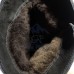 Монголки женские натуральные тёмно-коричневые с замком кожаные, войлочнорезиновая подошва (арт. 60024)